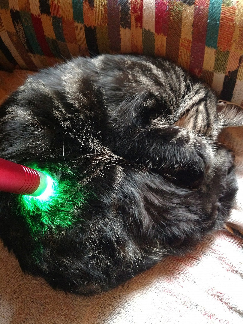 Multi-Light