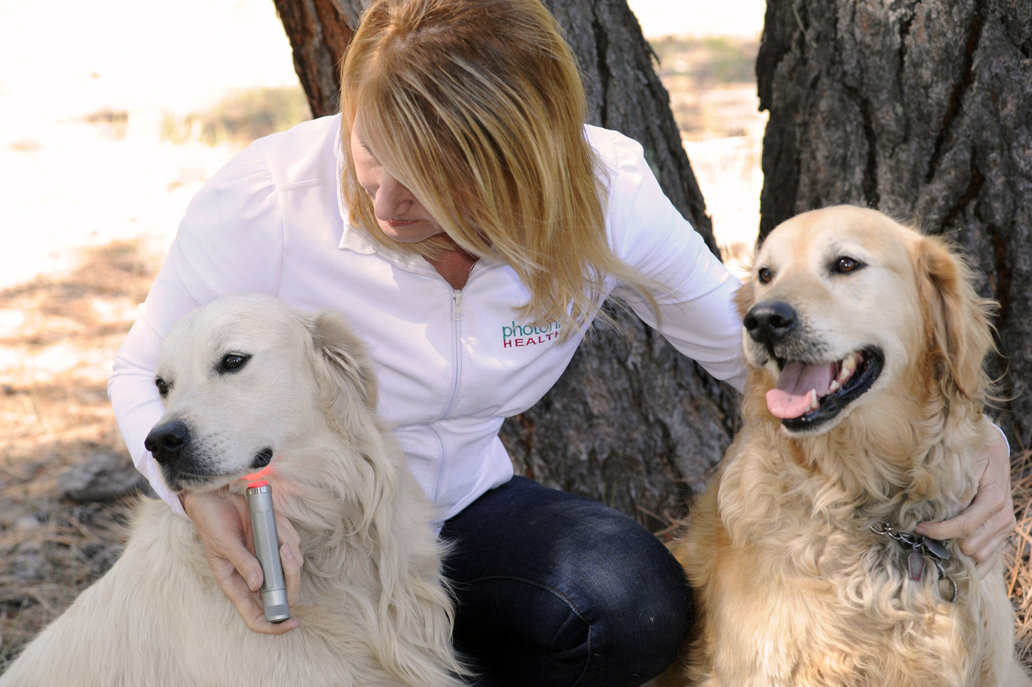 Standard Light Ambassador Dog Kit