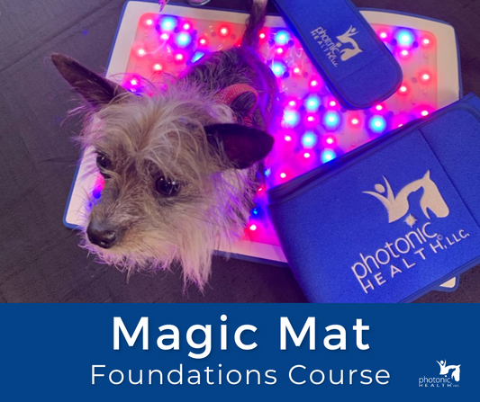 Magic Mat Foundations Course