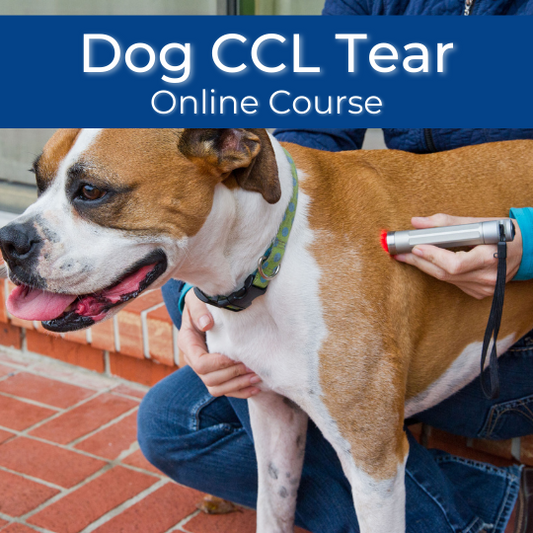 Dog CCL Tear Protocol Course