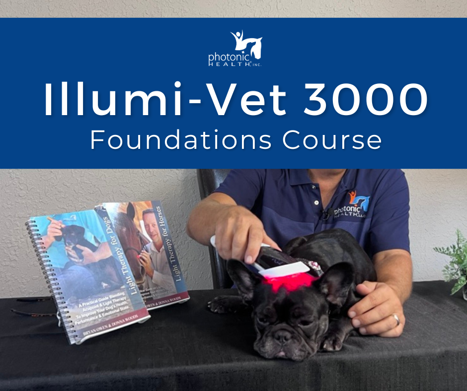 Illumi Vet 3000 Foundations Course
