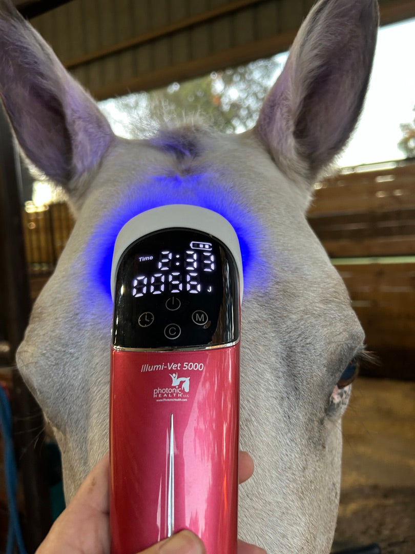 Illumi-Vet 5000