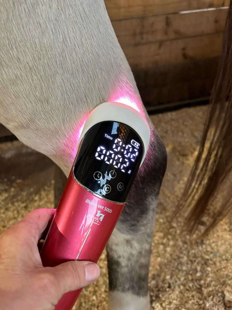 Illumi-Vet 5000