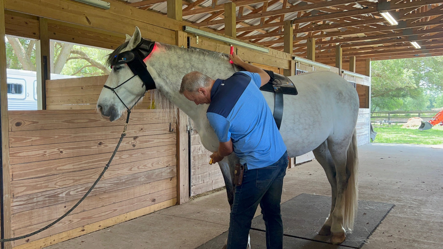 Multi Light & Horse Half-Wrap Kit