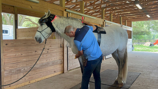 Multi Light & Horse Half-Wrap Kit