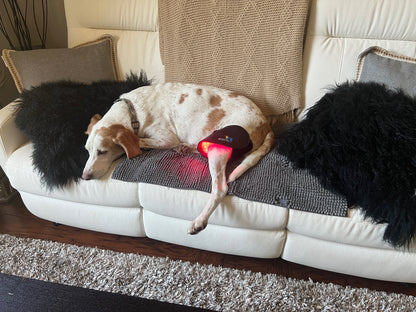 Multi Light & Dog Half-Wrap Kit