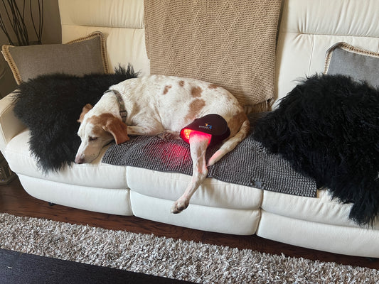 Multi Light & Dog Half-Wrap Kit