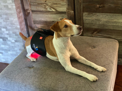 Multi Light & Dog Half-Wrap Kit