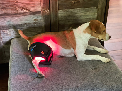Multi Light & Dog Half-Wrap Kit