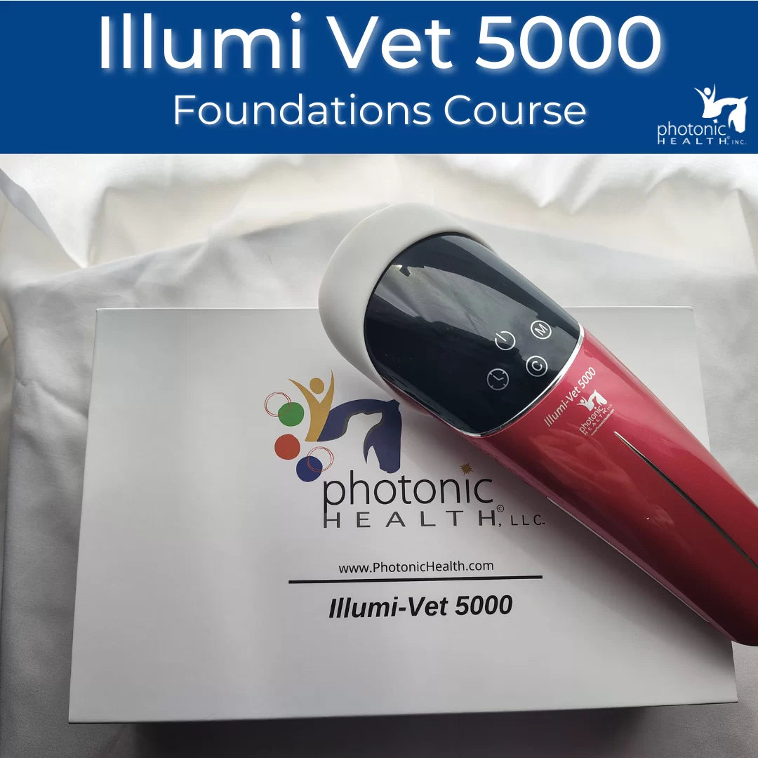 Illumi-Vet 5000 Foundations course