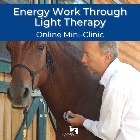 Energy Work & Red Light Therapy Mini-Clinic