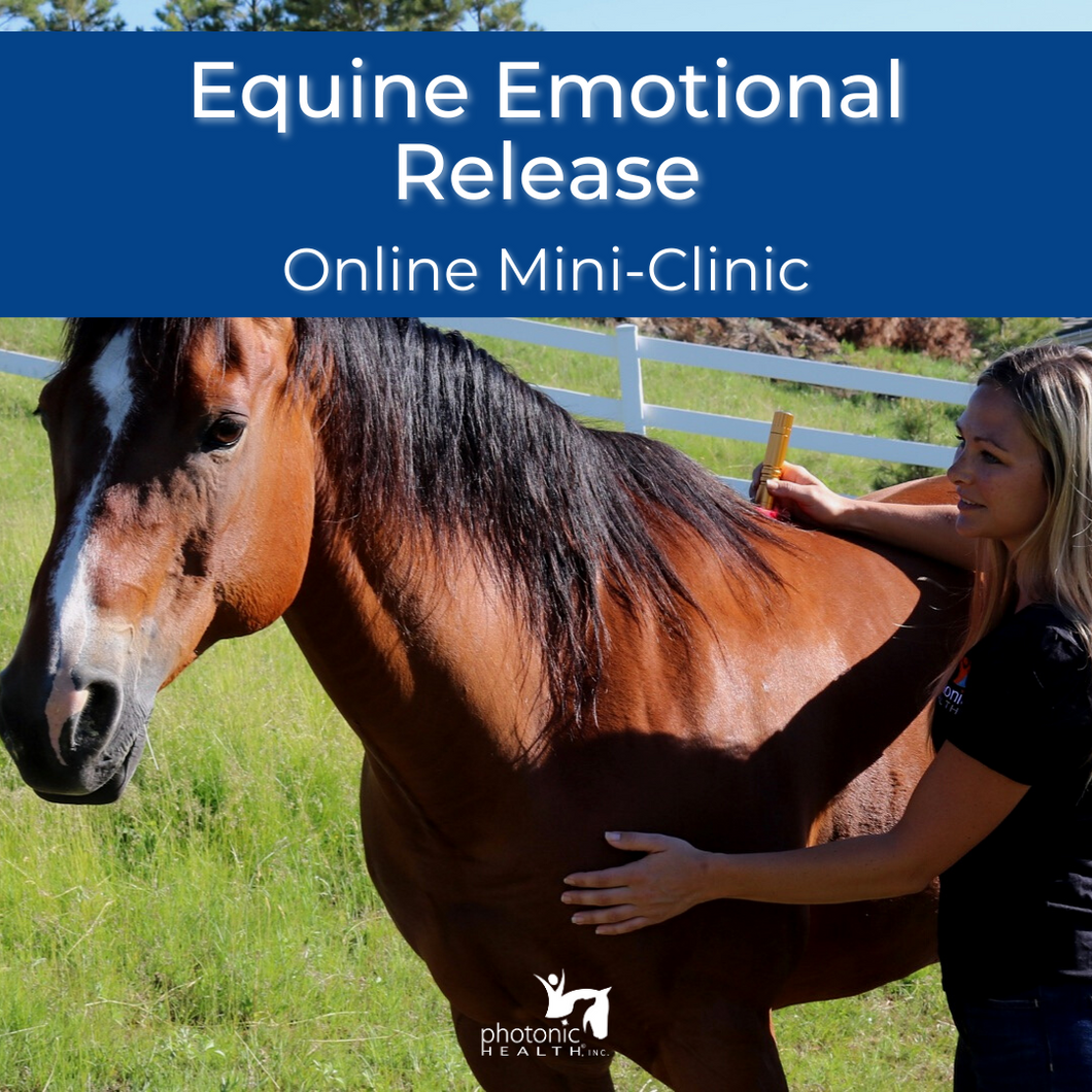 Equine Emotional Release Mini-Clinic