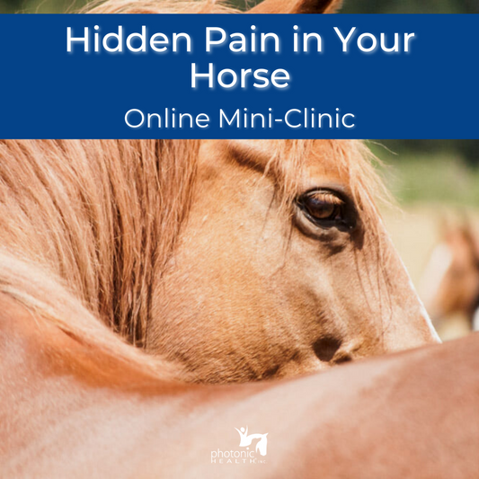 Equine Hidden Pain Mini-Clinic