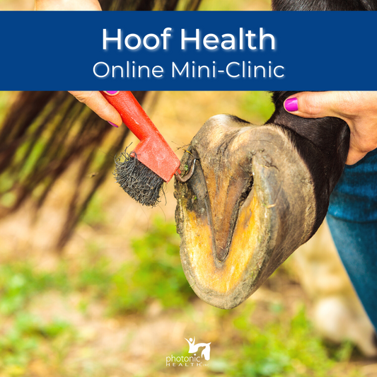 Equine Hoof Health Mini-Clinic