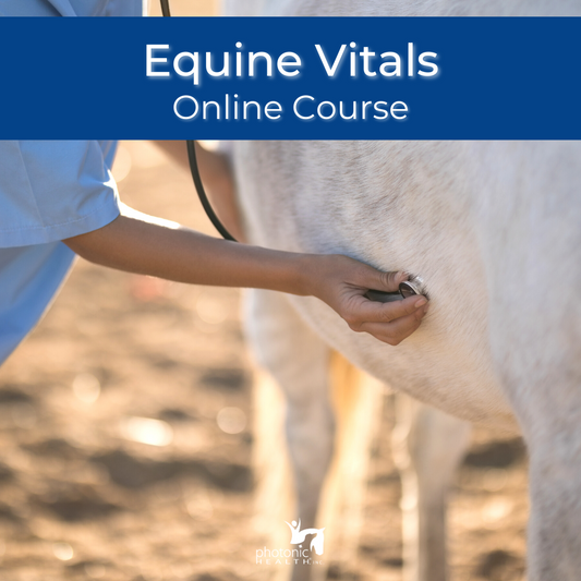 Equine Vitals Course