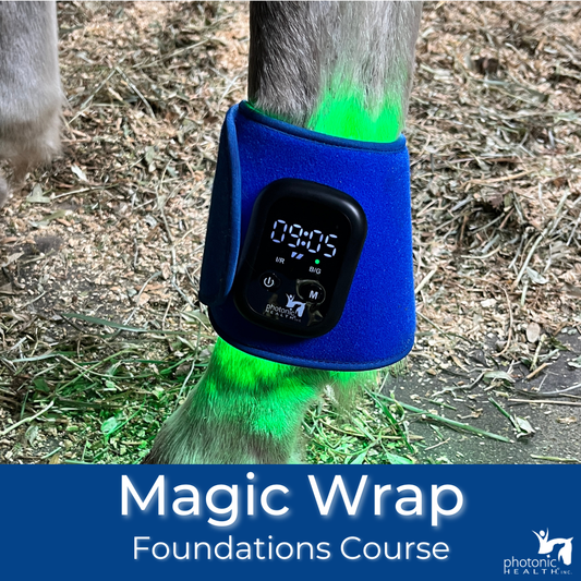 Magic Wrap Foundations Course