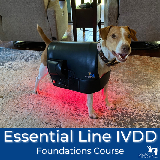 Dog IVDD Repair/Recovery Course