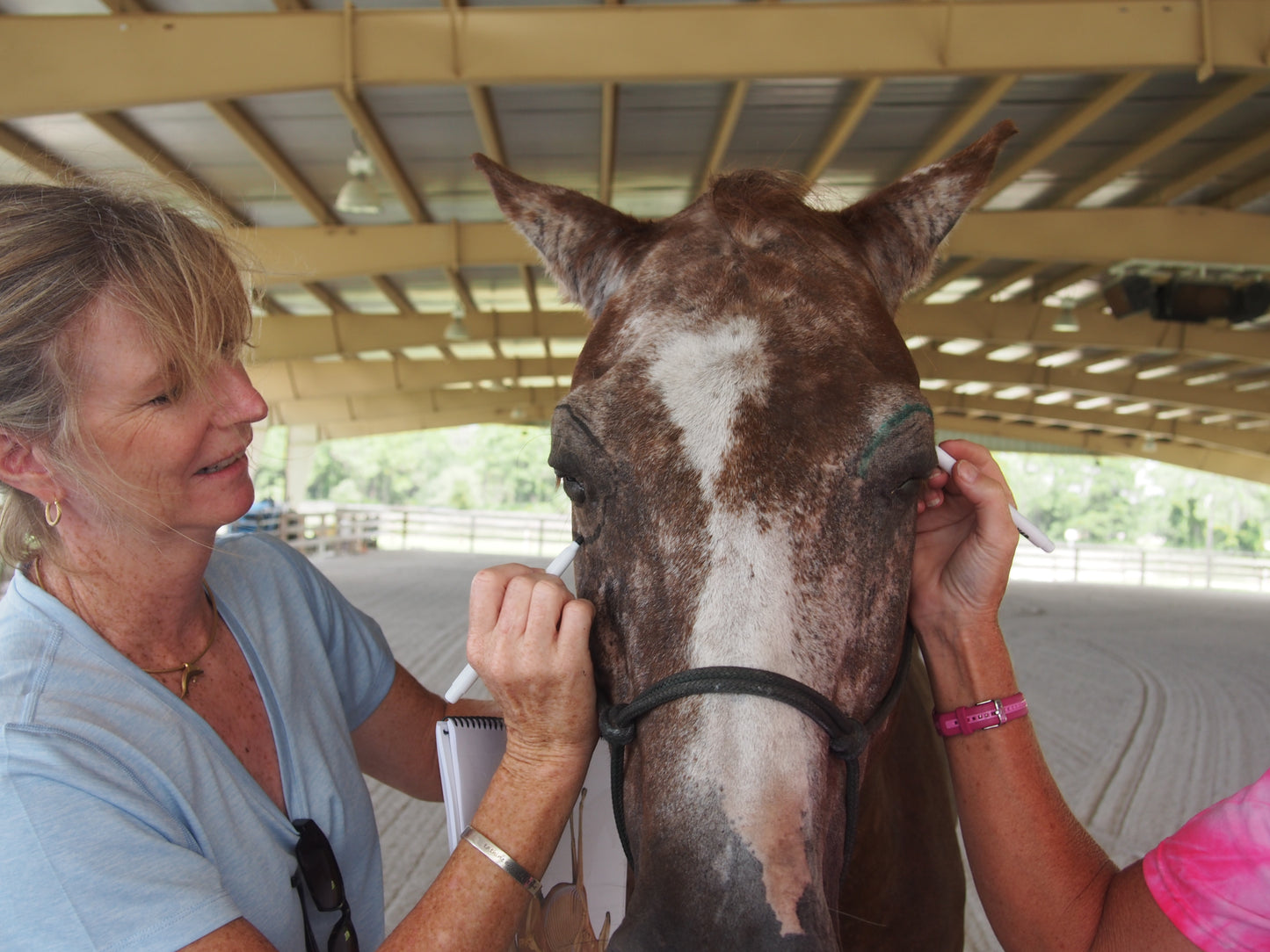 Equine Level 1 In Person