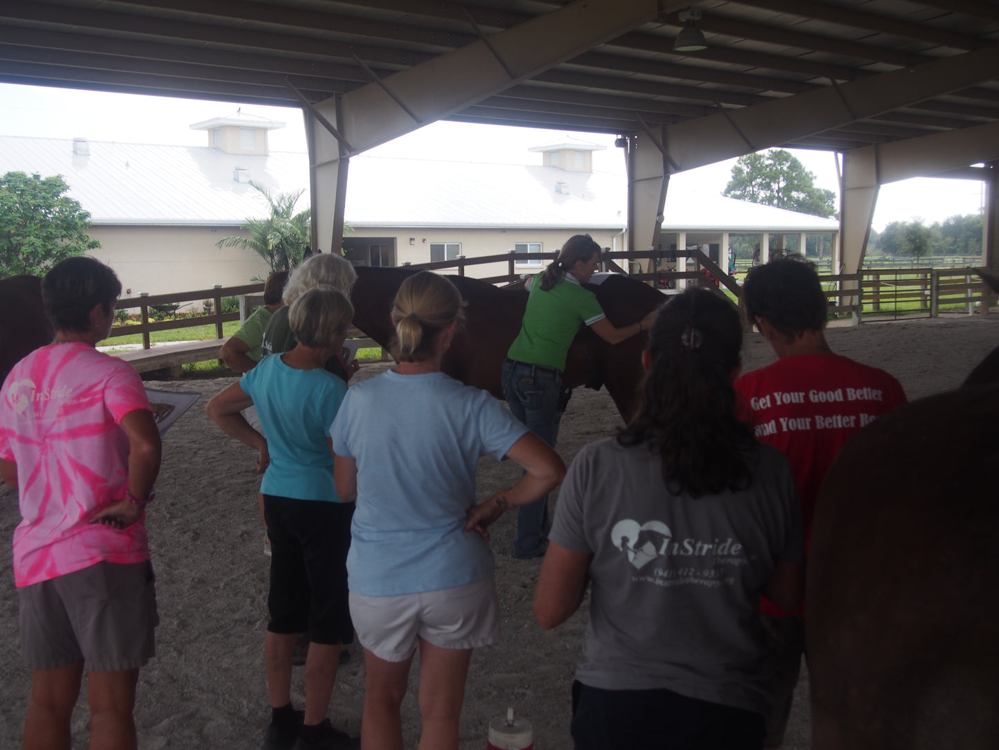 Equine Level 1 In Person