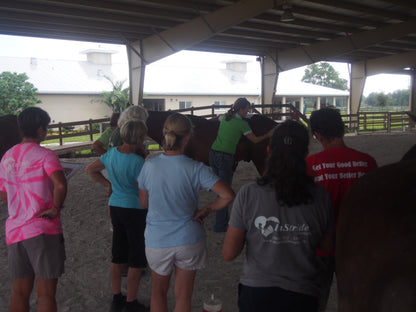 Equine Level 1 In Person