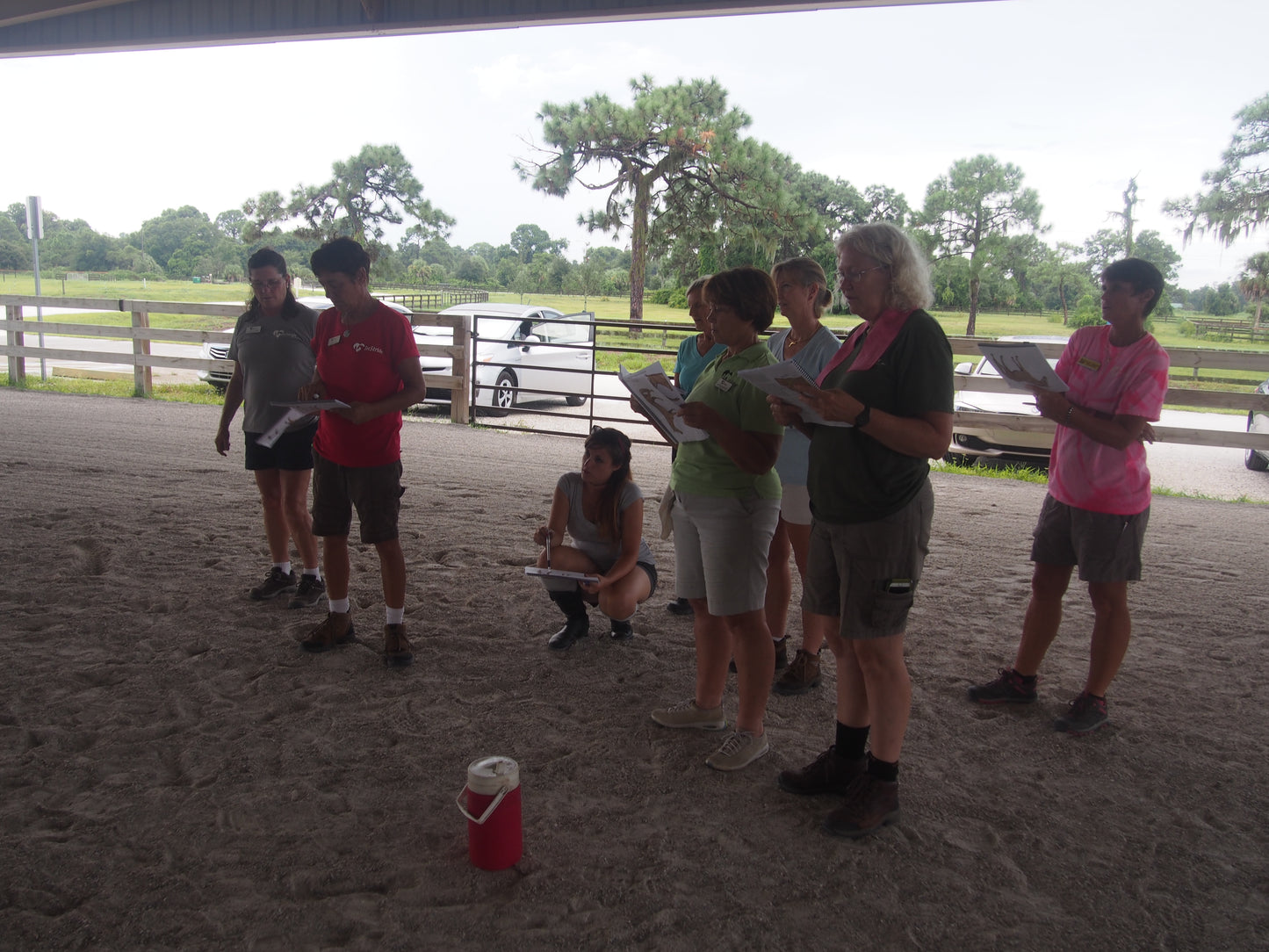 Equine Level 1 In Person