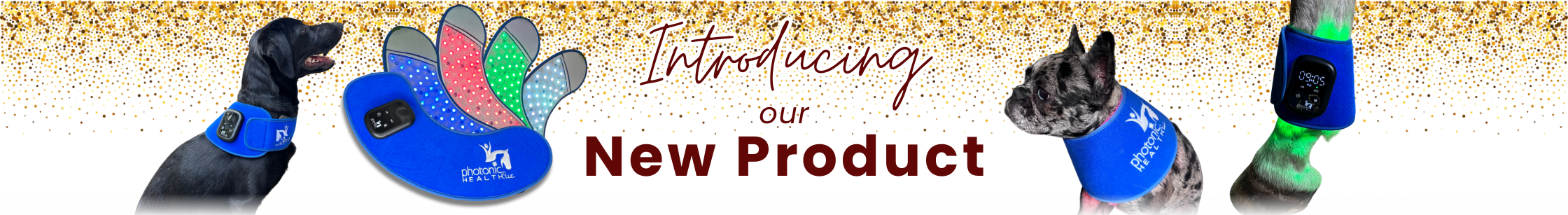 Introducing The Magic Wrap dog horse