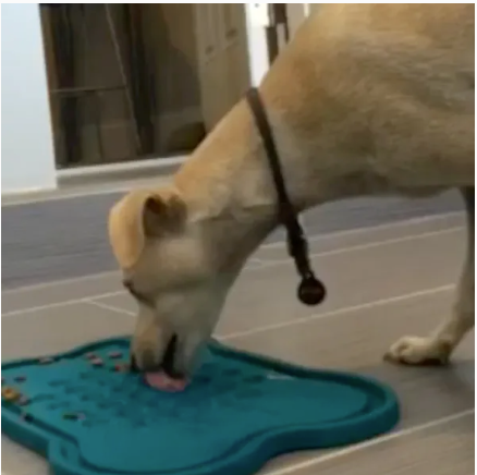 Mine Pet Platter