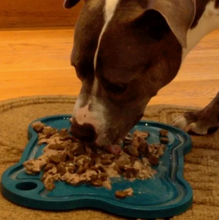 Load image into Gallery viewer, Mine Pet Platter
