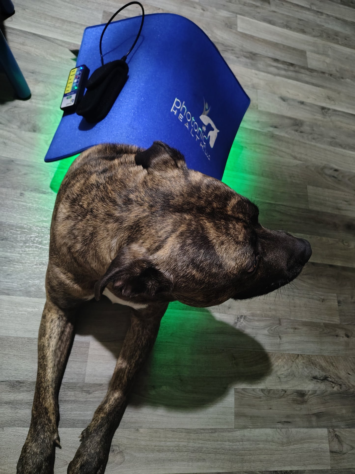 Magic Mat