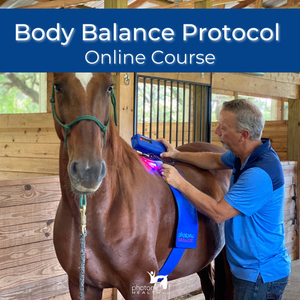 Equine Body Balance Protocol Course (Pad System)