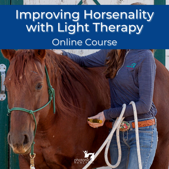Improving Horsenality with Red Light Therapy Course