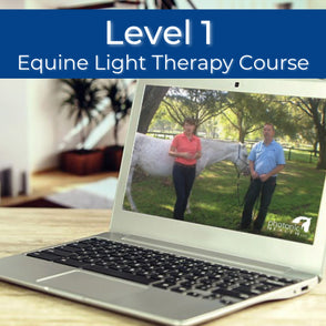 Equine Level 1