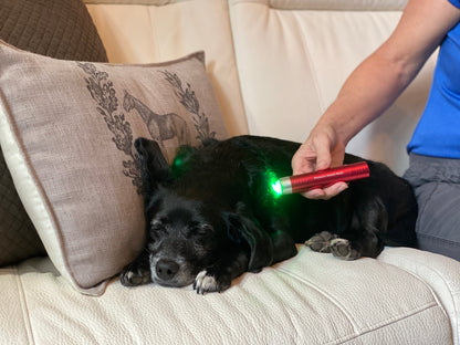 Multi Light & Dog Half-Wrap Kit