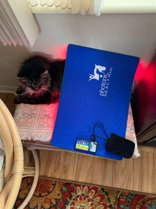 Magic Mat With Multi Light + Cat Book