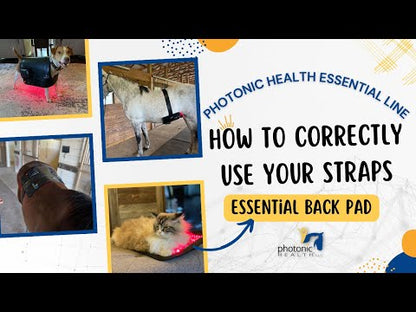 Essential Back Pad Replacement Straps Combo