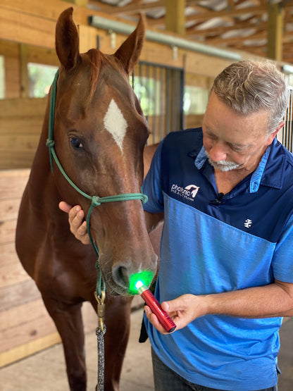 Multi-Light Horse Kit Show Special