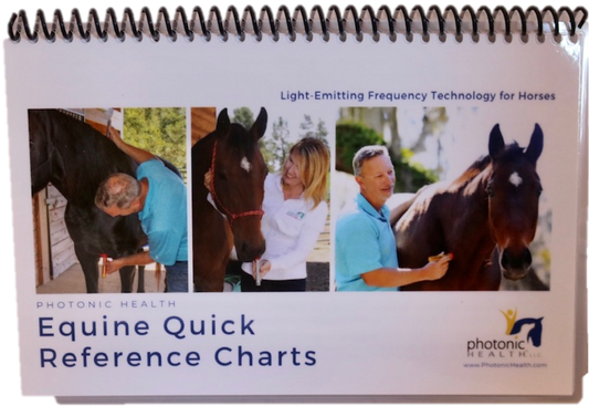 Equine Flip Chart