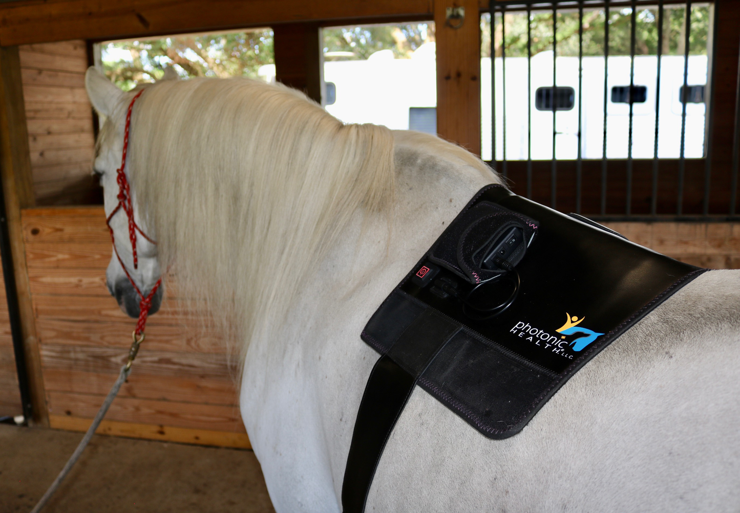 Essential Back Pad