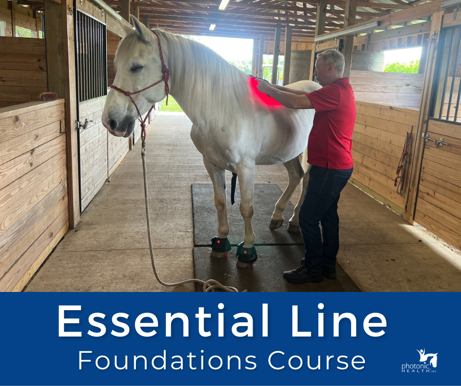 Essential Line Foundations Course