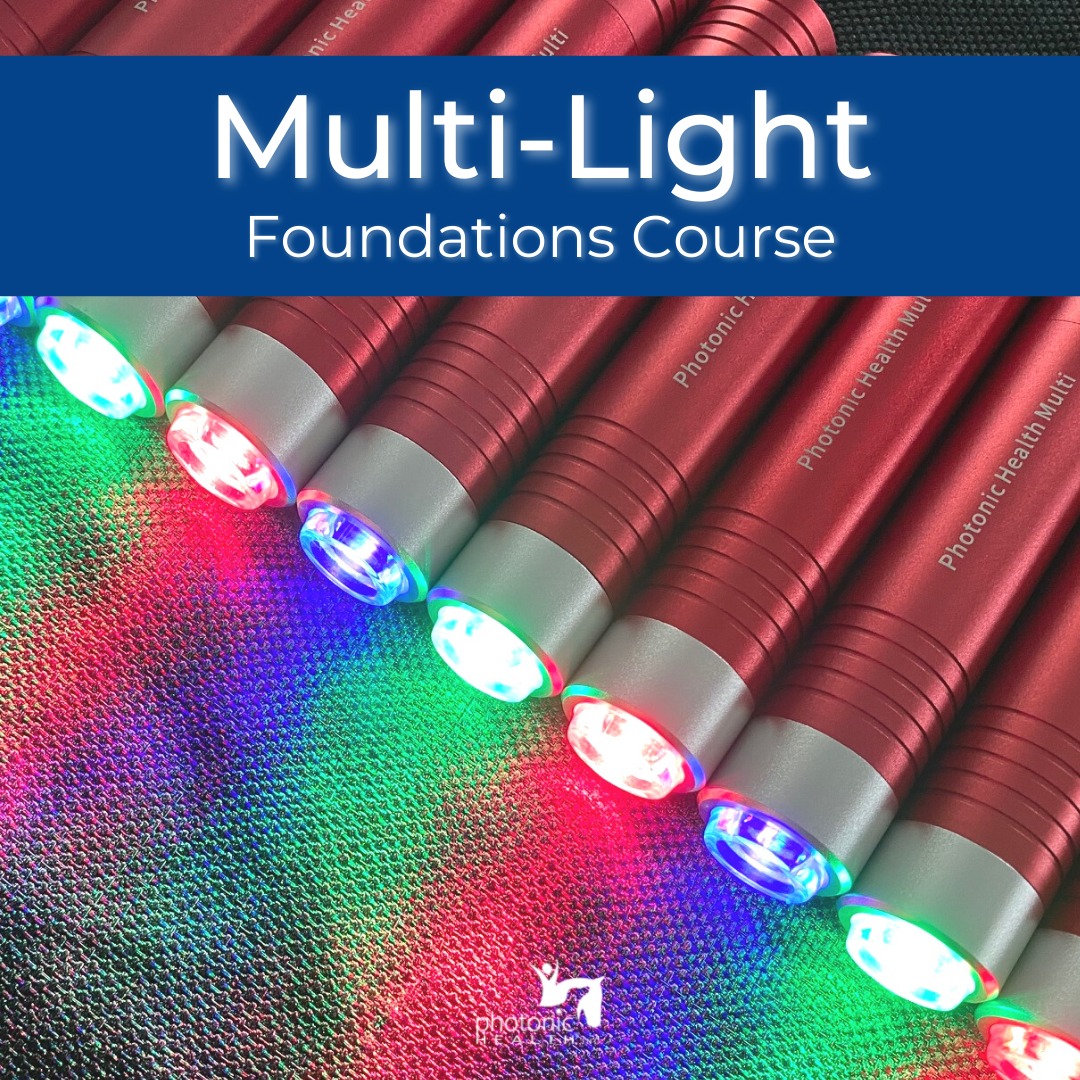 Multi-Light Foundations Course
