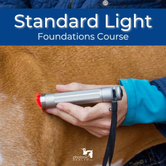 Standard Light Foundations Course