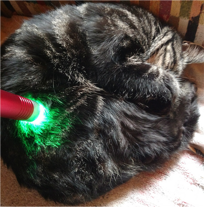 Multi-Light (Upgrade)