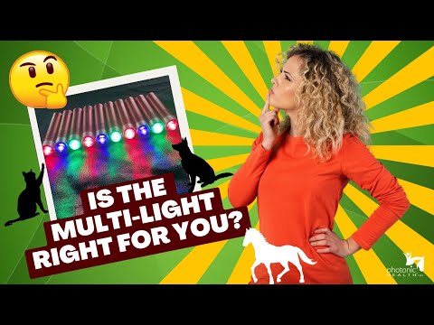 Multi-Light
